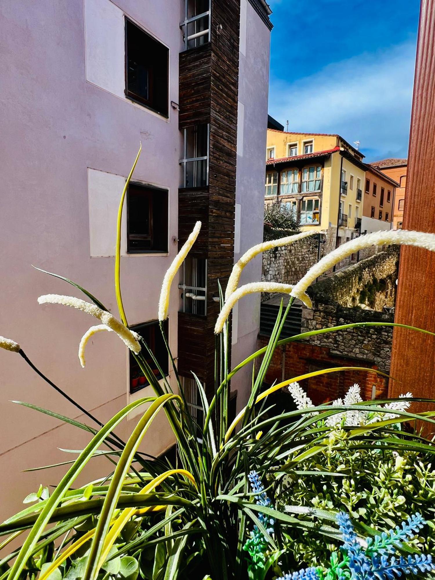 El Capricho De Claudia_ Apartamentos Burgos Catedral 외부 사진